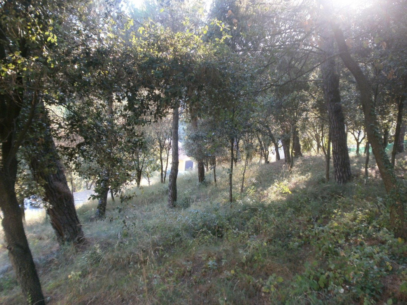 Terreno urbano